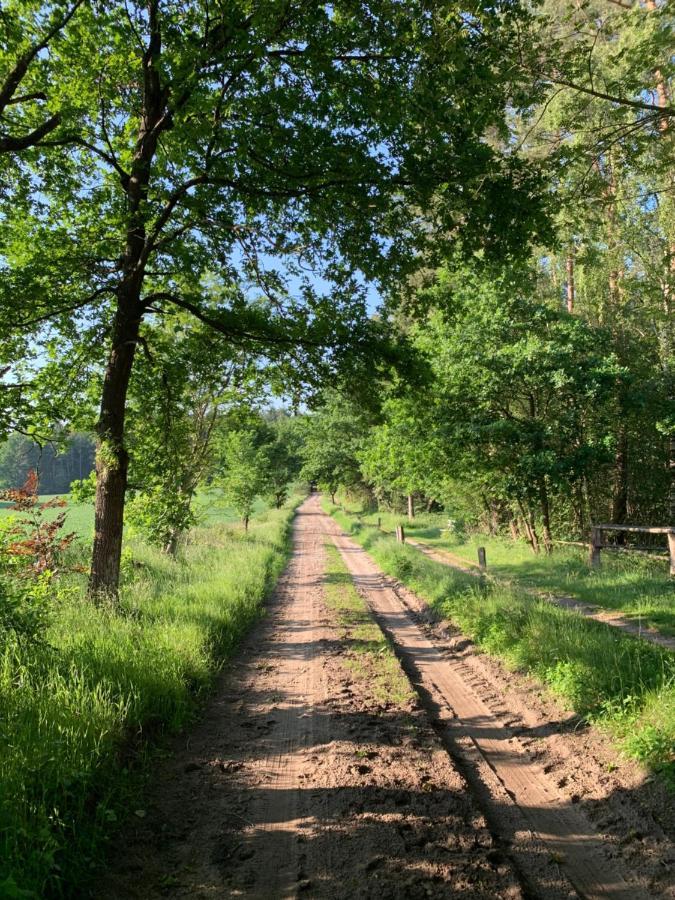 Loh Apartments - Wald.Natur.Ruhe. Undeloh Eksteriør billede