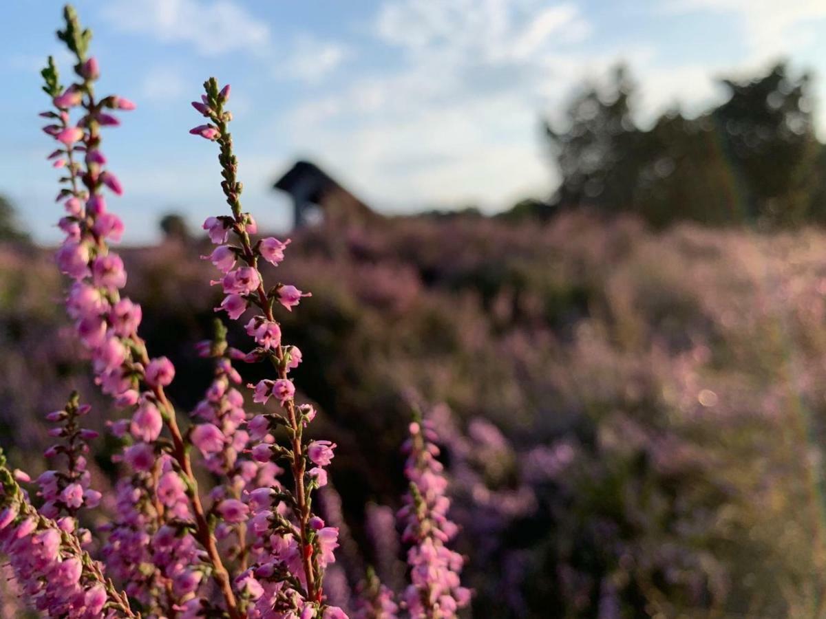 Loh Apartments - Wald.Natur.Ruhe. Undeloh Eksteriør billede